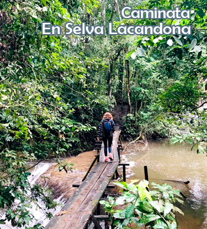 Caminata Selva Lacandona