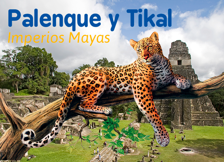 Zona arqueologica de Tikal