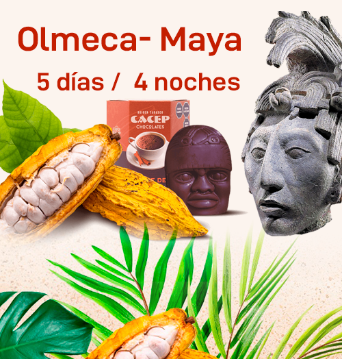  cabecera