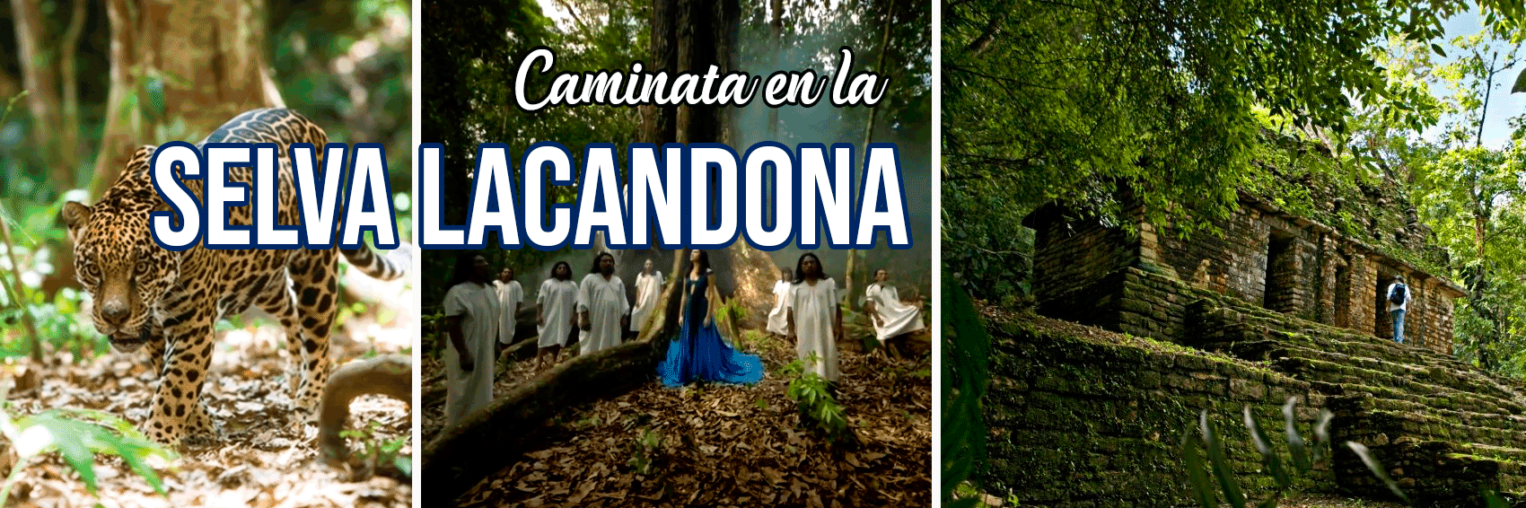 Tour a la Selva Lacandona